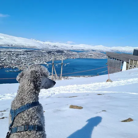 Apartment Tomasjord Home, Bright And Tromsdalen